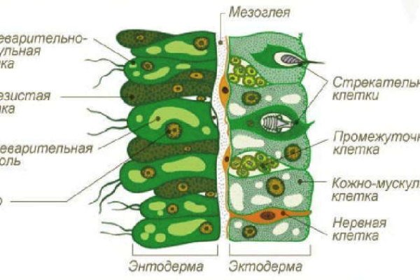 Kraken 14 at сайт